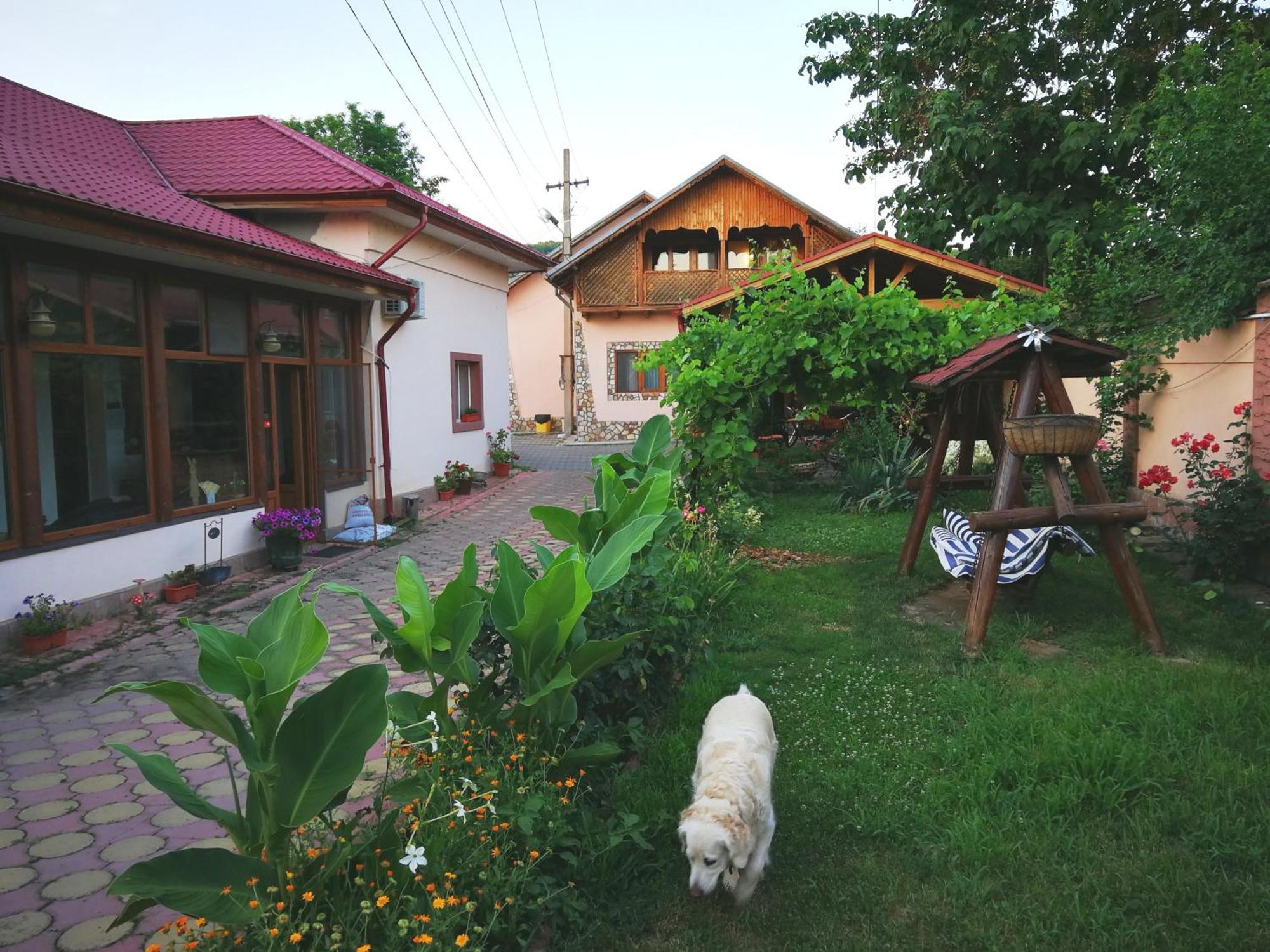 Vila Speranta Pleşcoi Exterior foto